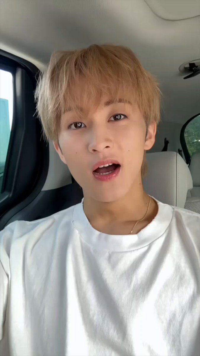 ʕ•ᴥ•ʔmahaloʕ•ᴥ•ʔ Maplequan🔱Pixelart (@Maplequan1684) / X