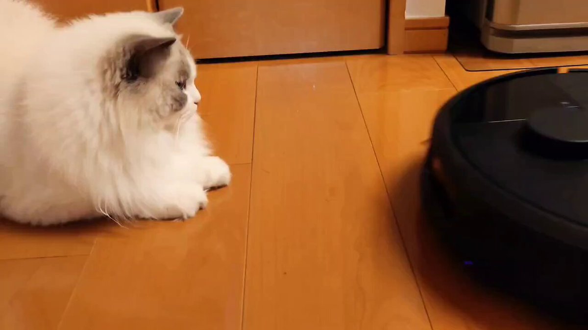 Αναρτήσεις με απαντήσεις από iRobot Customer Service/アイ