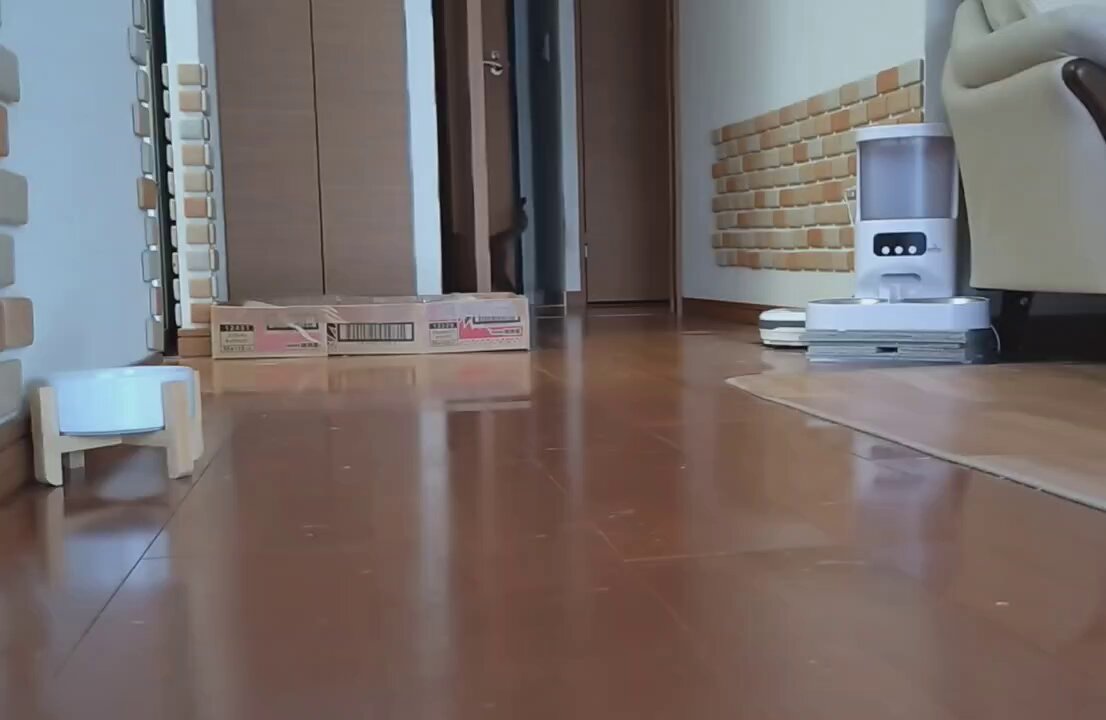 みぃ (@Js4zeKqmJxbnVBS) / Posts / X