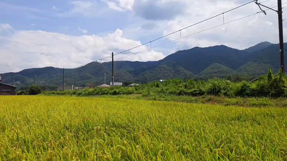 近江湖北之駅長 on X: 