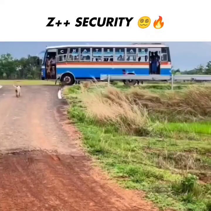 Most loyal and expensive security Picture