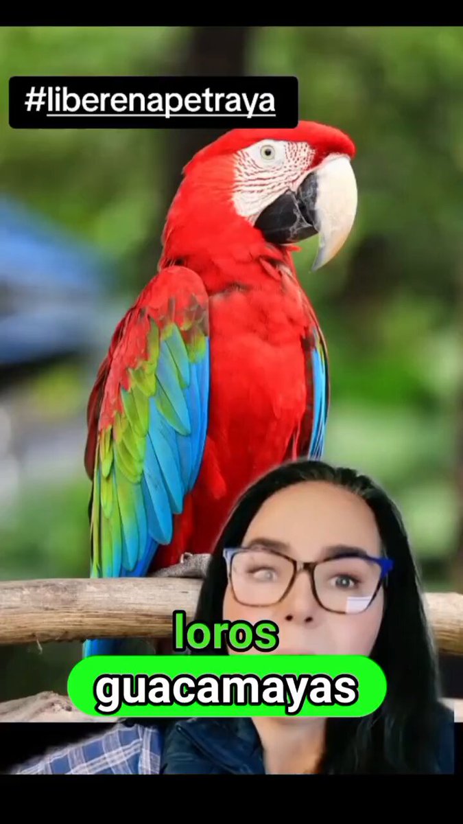 Tweet media two