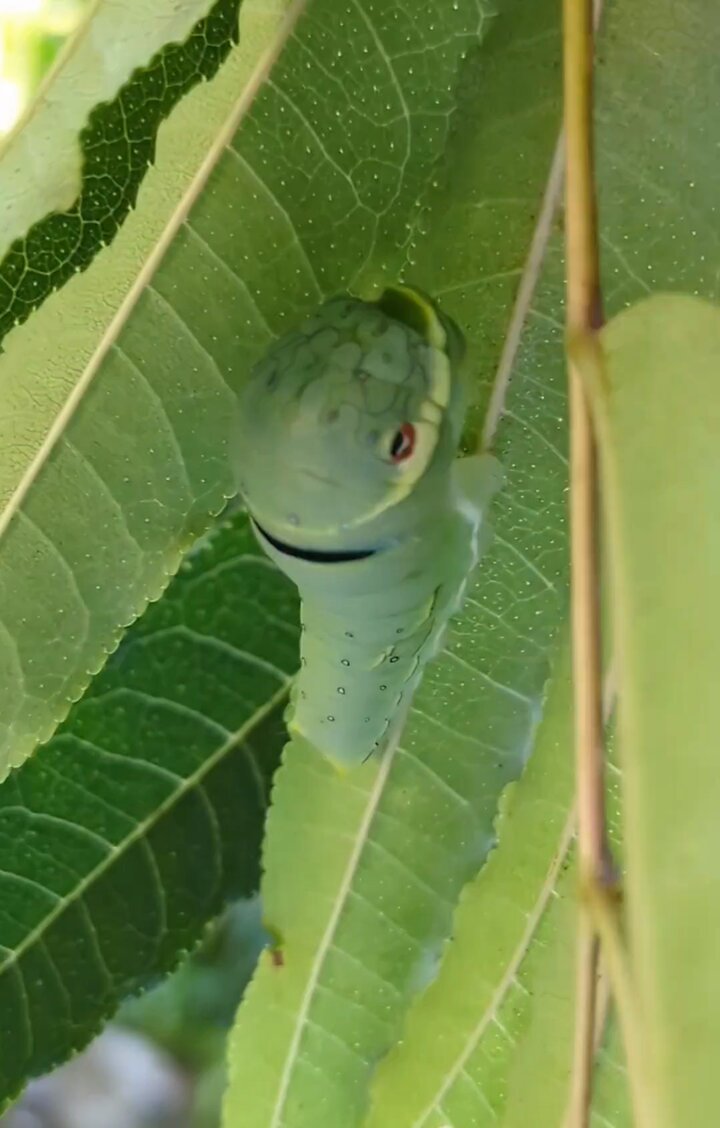 まさやん様 masayan86 • Instagram photos and videos