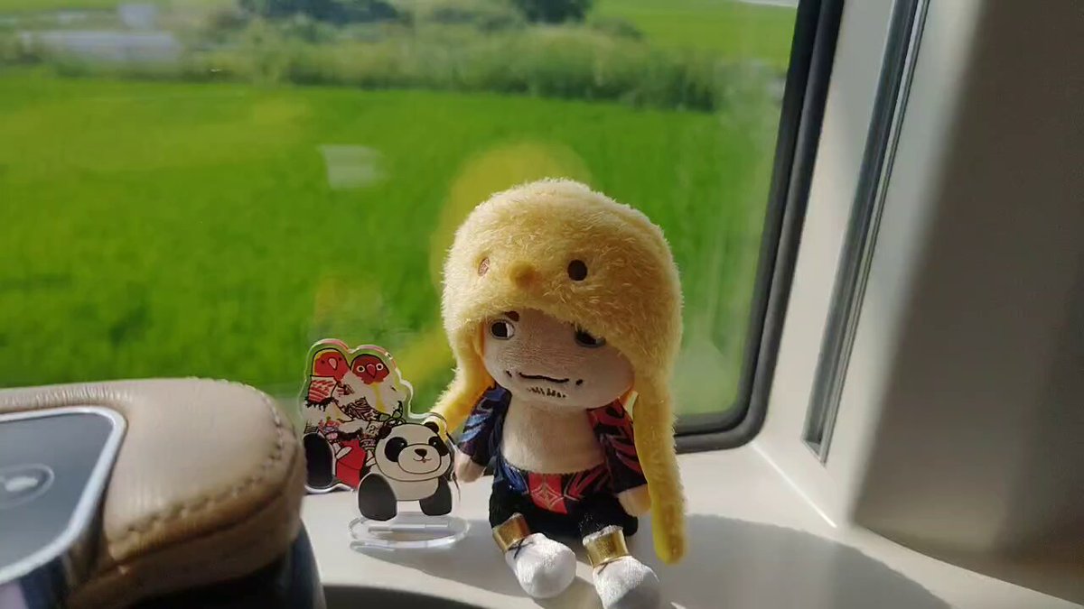 やまゆ🦜🪽 on X: 