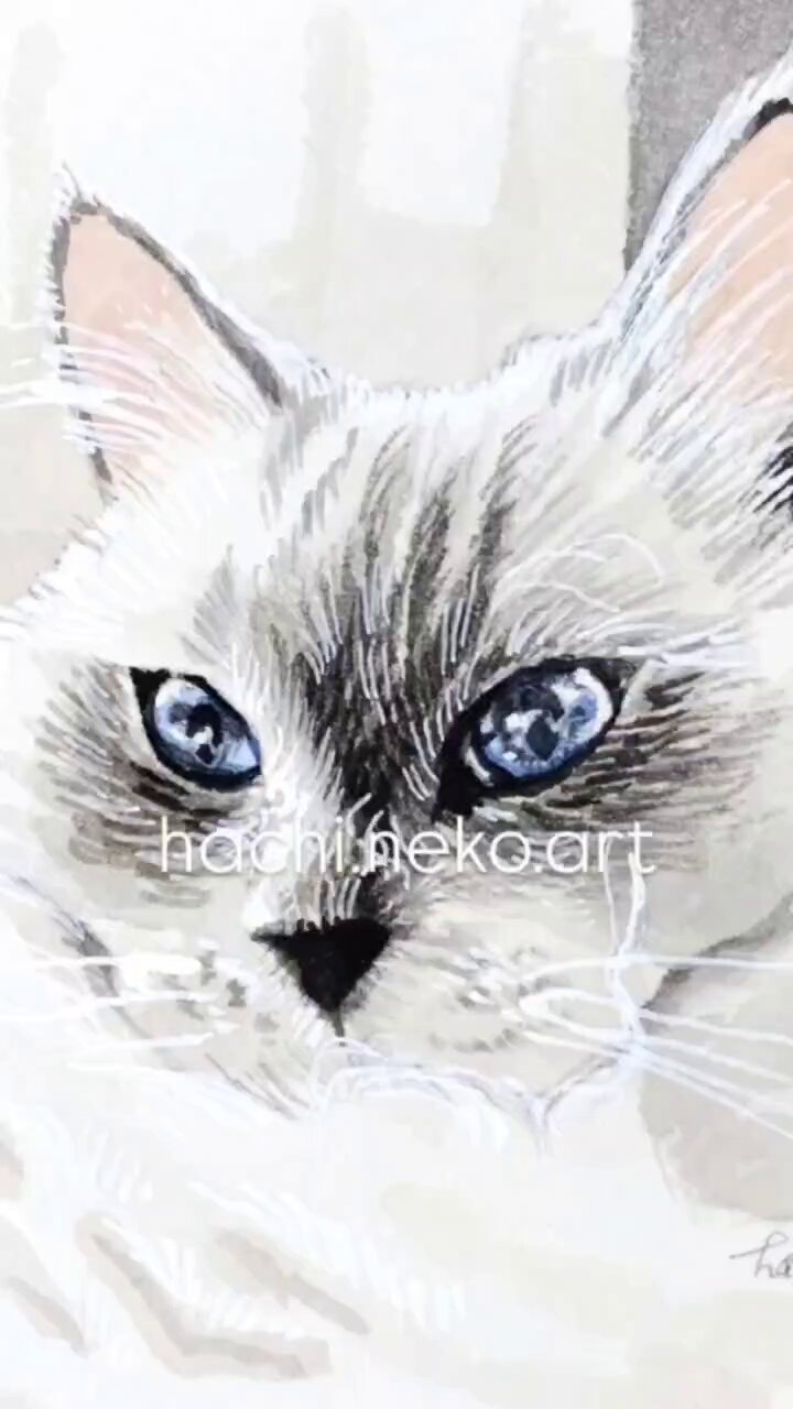 はち・ねこ画家🎨ご依頼受付中 on X: 