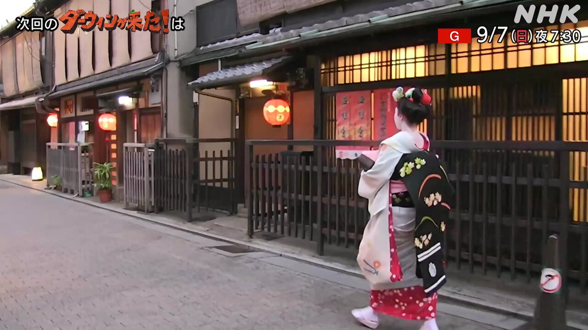 ダーウィンが来た! ダーウィンが来た! - NHK