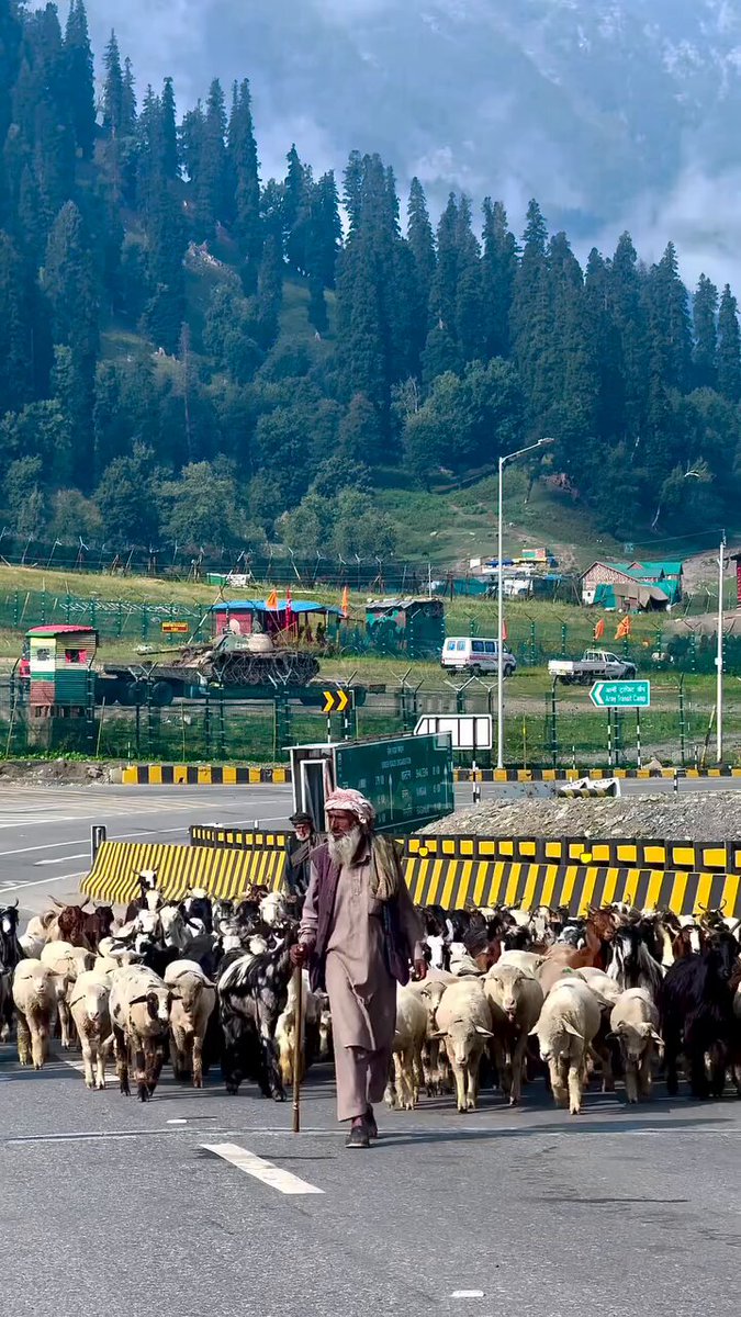 Qiz dugonasining ogziga kirdi