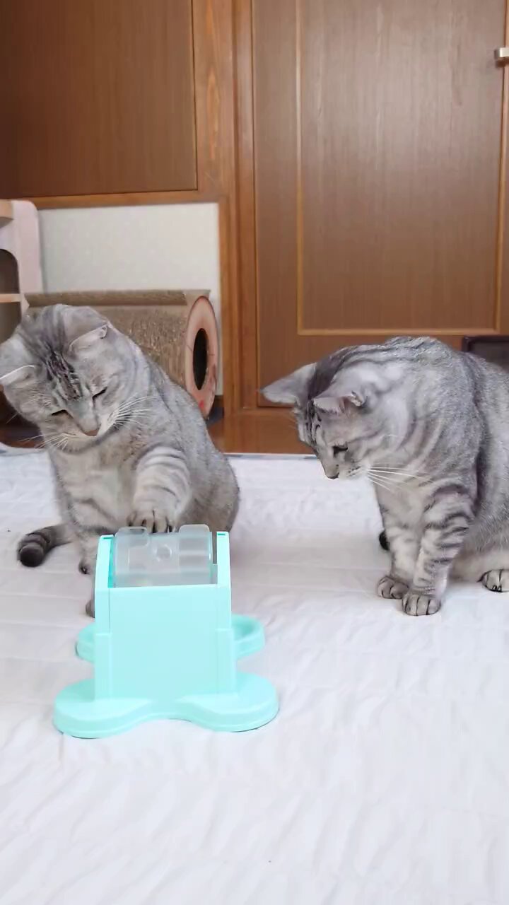 にゃーにゃん 様 Wanyanya わにゃにゃ にゃんドア 拡張パネル ホワイト ホワイト