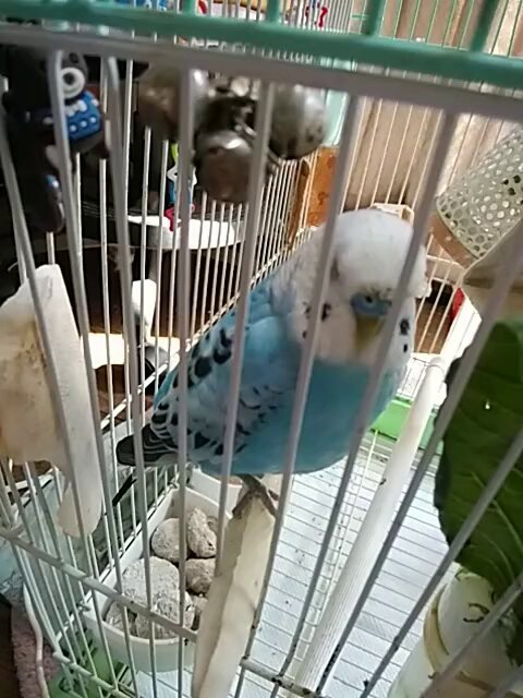 Tweet media two