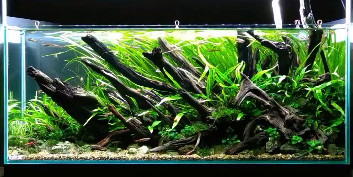 AquaBman (@AquaBman) / X