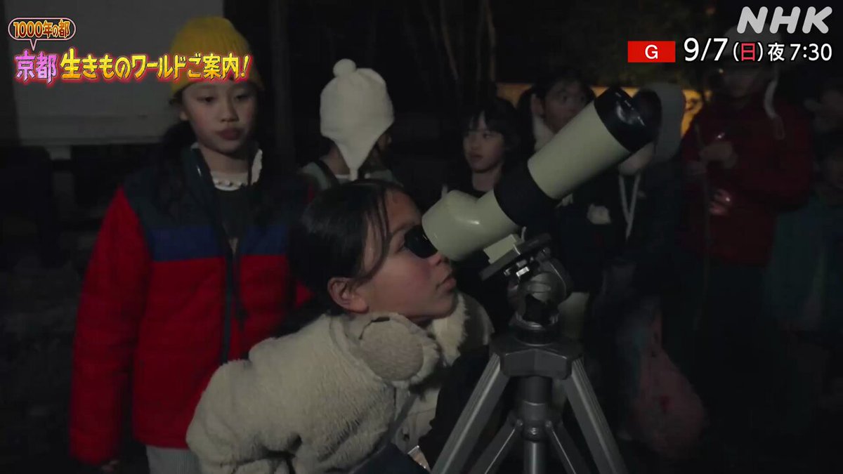 ダーウィンが来た！ (@nhk_darwin) / X