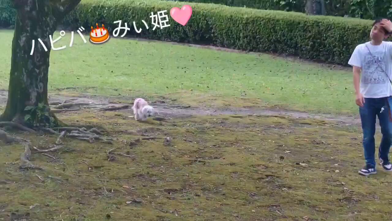 みぃちゃん♪ページ 美鳥(みぃちゃん) (@baypockets_mii) / X