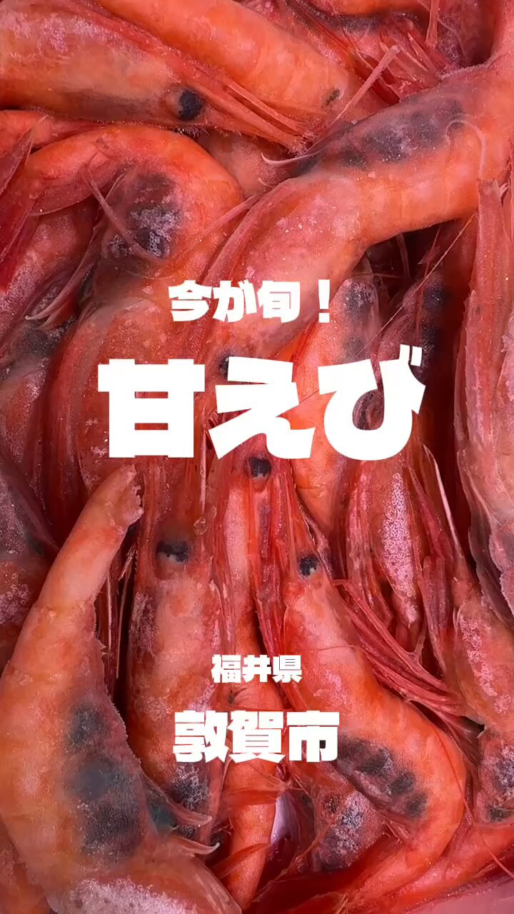 あおぞらページ♡⃜ 🧡メンカラ×花言葉🌼 「恋の予感」 今回はメンカオレンジの