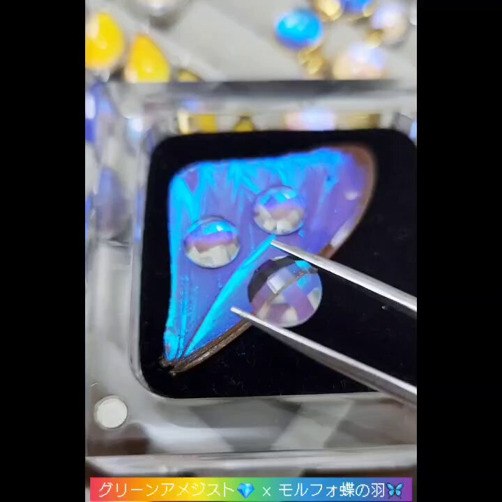 🦋ももすけ🦋【本物の蝶の羽でアクセサリー作る人