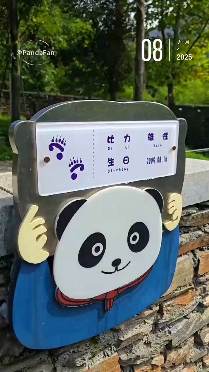 毎週シャンシャン (@XiangXiangPost) / X
