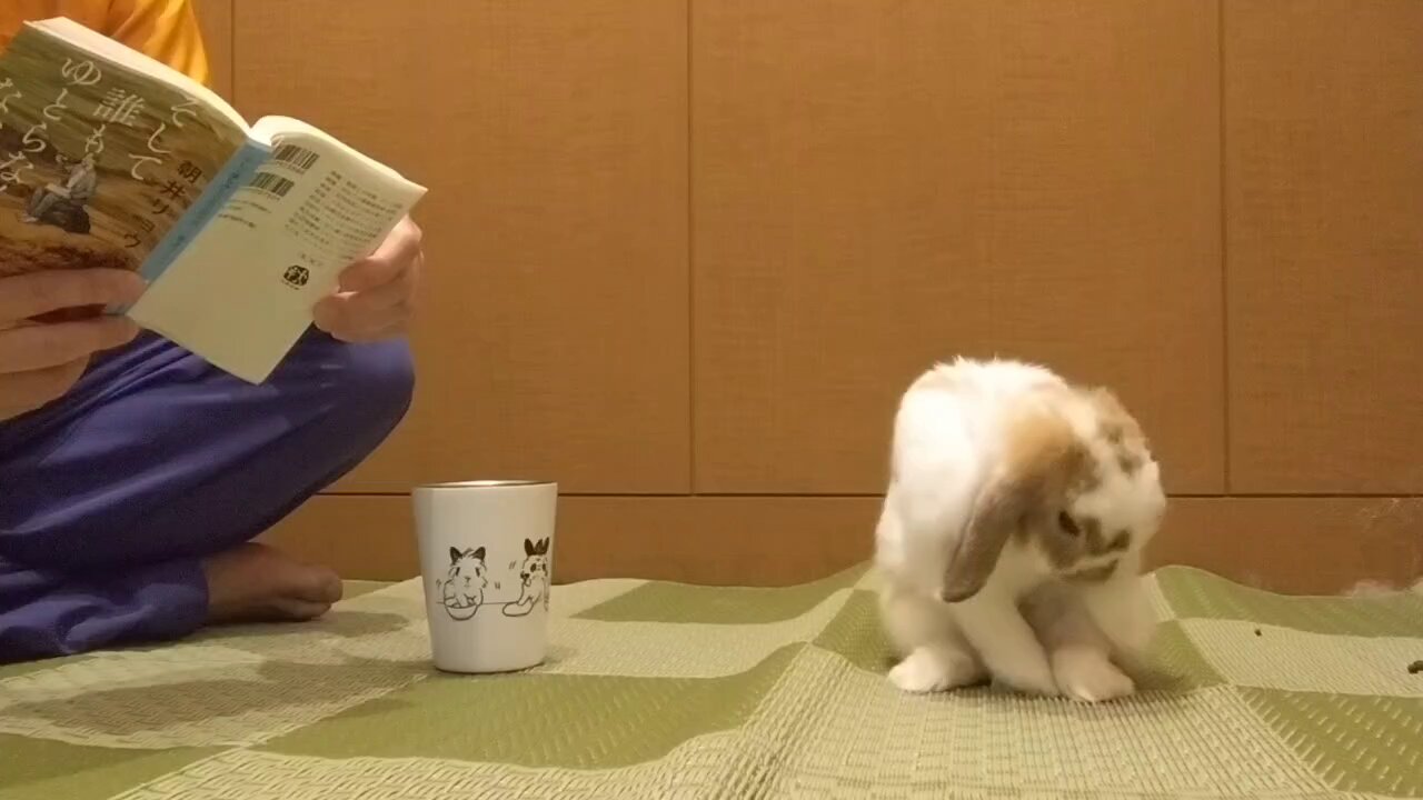 ♡ミカン様ご確認♡ みかん柑橘系 on X: 