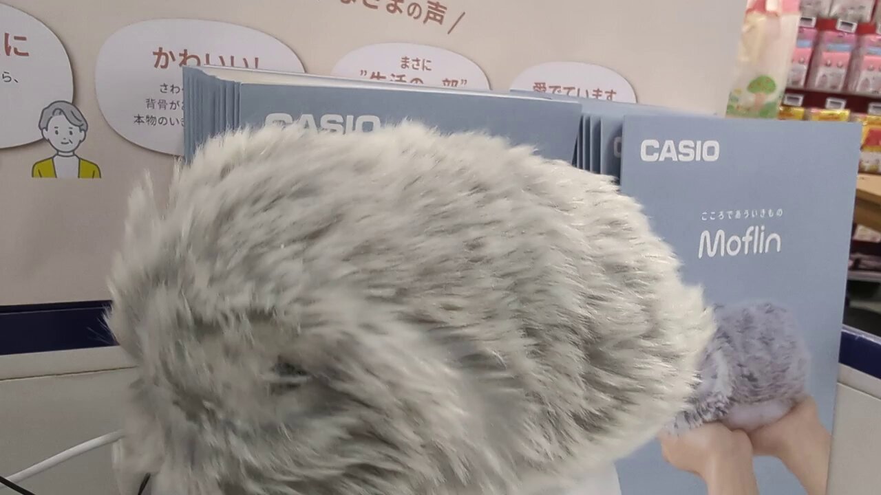 公式】Moflin（モフリン）｜感情が育つAIペット (@casio_moflin) / X