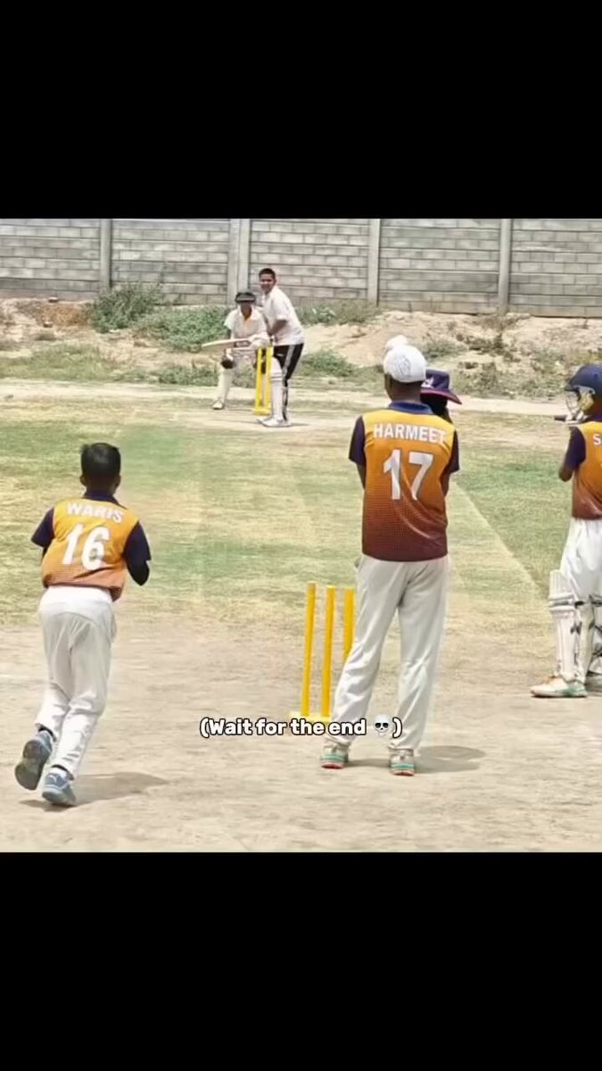The umpire got frustrated with Picture