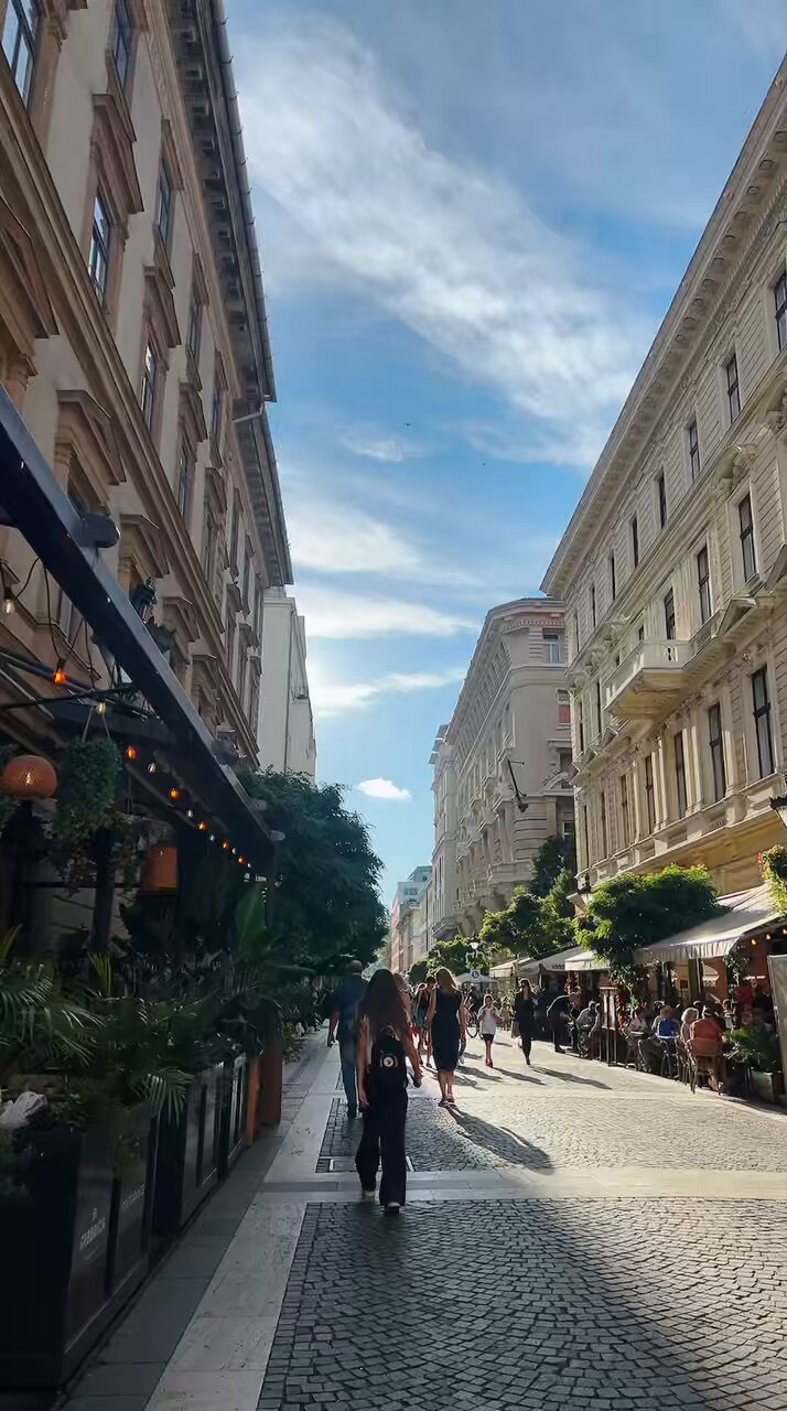 もんちゃん Gv5xqNoXkAAa83T.jpg?format=jpg