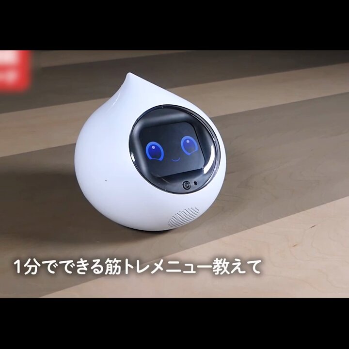 ロボット Romi 会話AIロボットRomi（ロミィ）- Lacatan（ラカタン）モデル