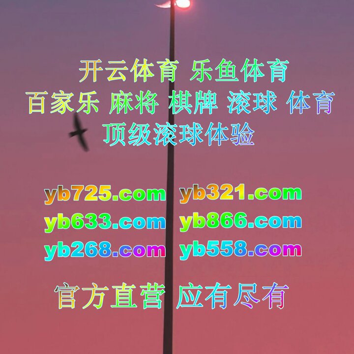 熊猫 - Search / X