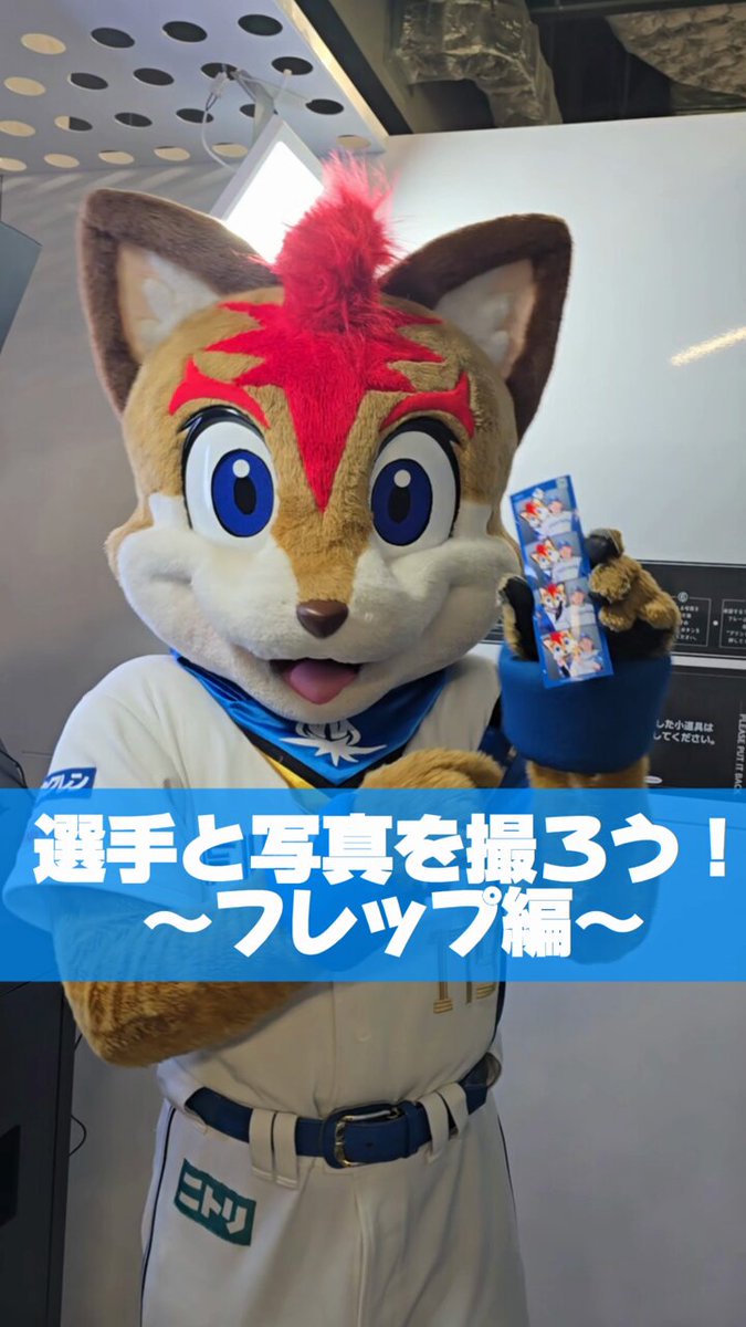 北海道日本ハムファイターズ グッズ【公式】 (@fighters_goods) / X