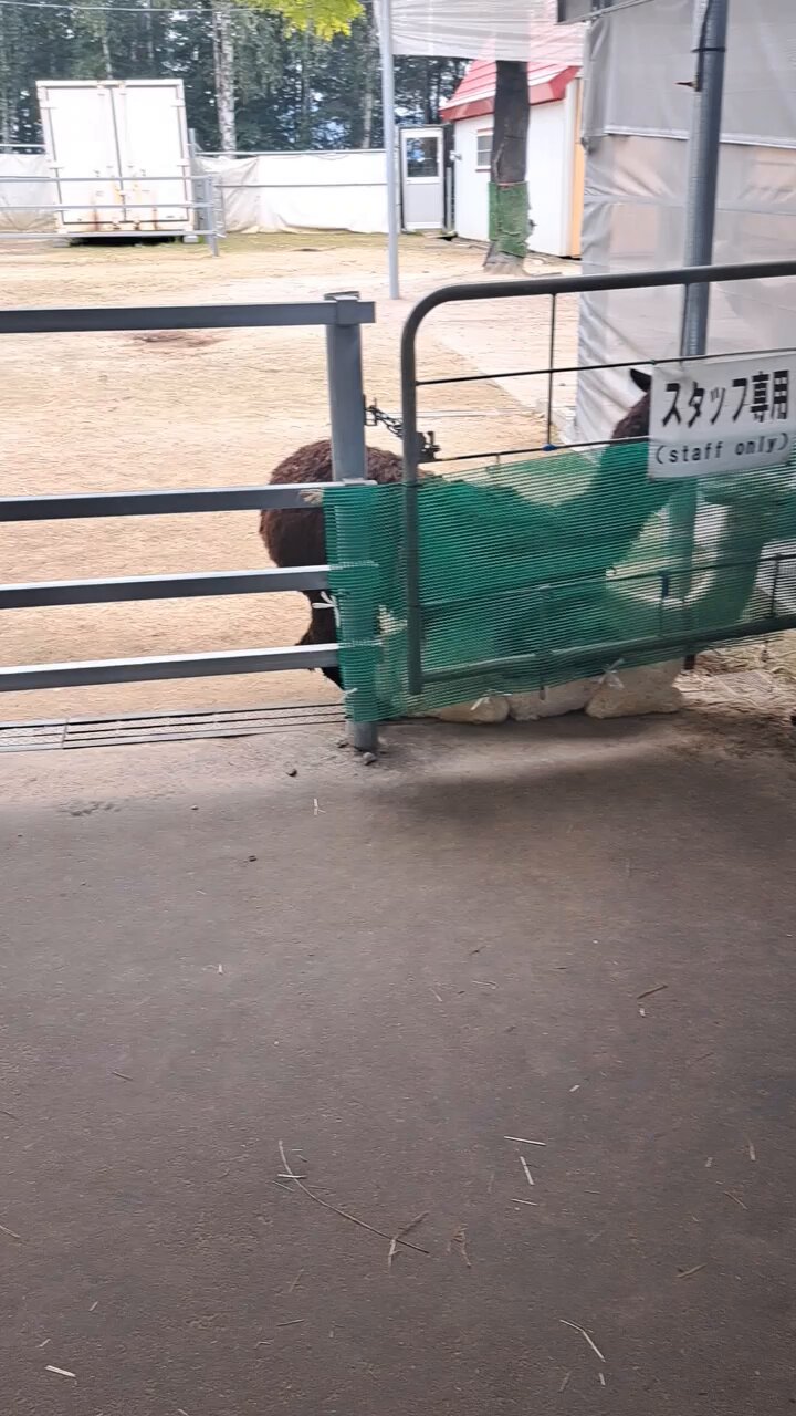 萌愛璃羚愛⋆*✩⑅◡̈⃝*ページ きらきら☆。.:＊・゜