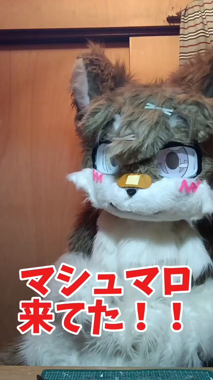 たるまろページ フロル・フライル でかばたCh on X: 