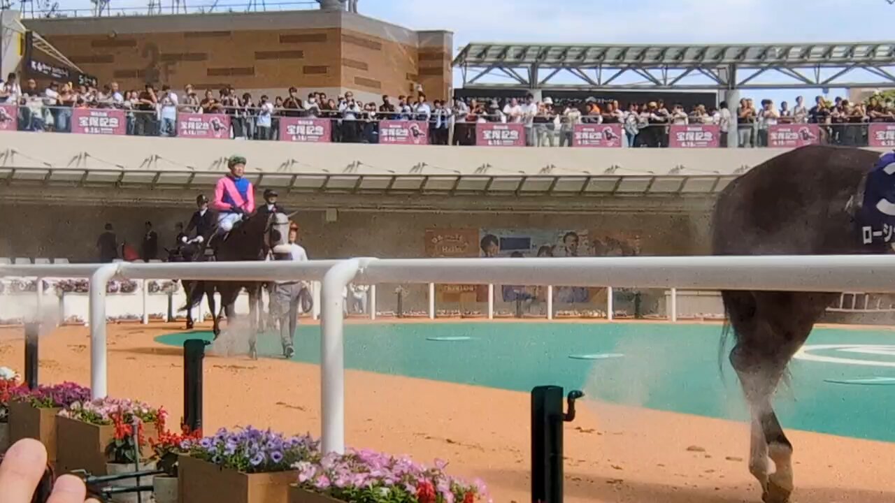 さるきち様 オーダー7枚 メイショウタバル追加 さるきち様 オーダー7枚 メイショウタバル追加 宝塚記念