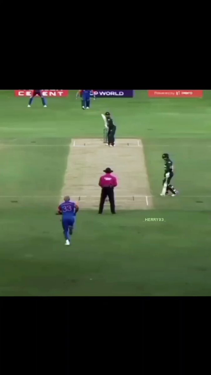 That coldest stare by Hardik Picture