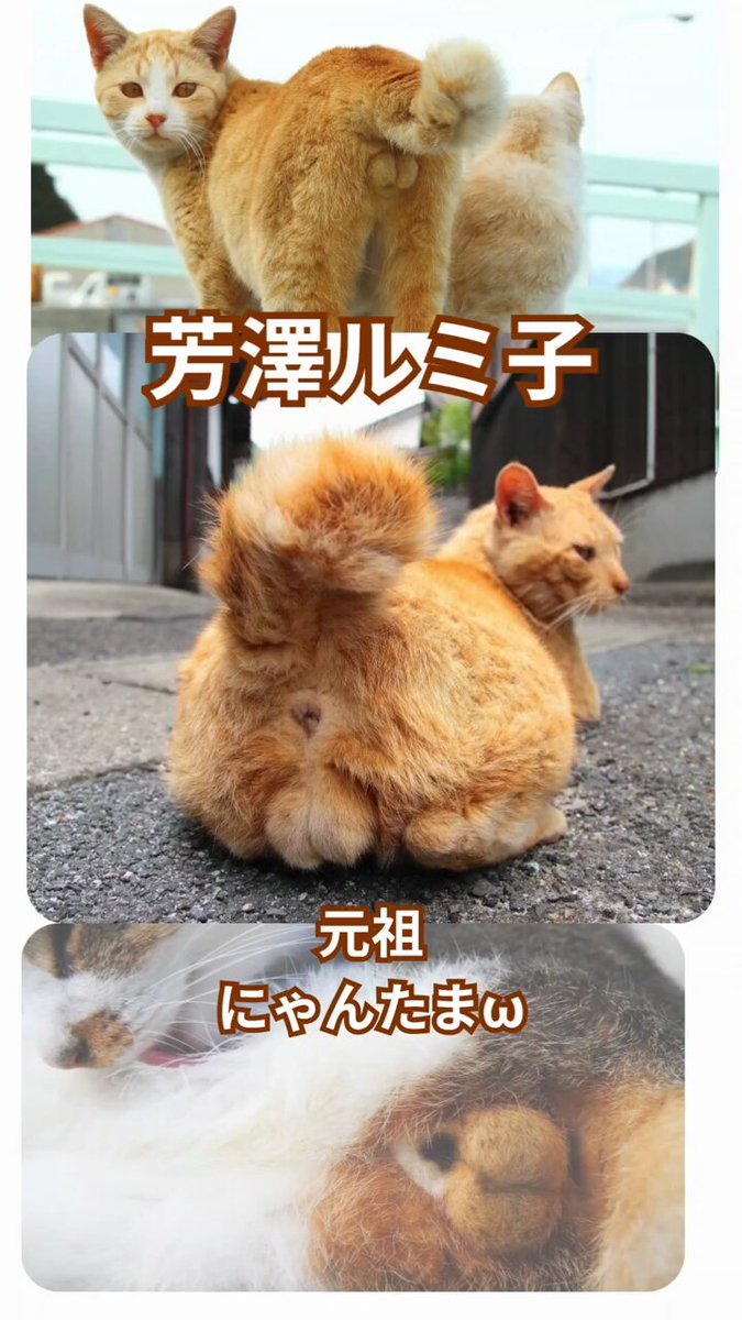 いのにゃん Amazon.co.jp: ねこに転生したおじさん[ポストカード]ダイカット