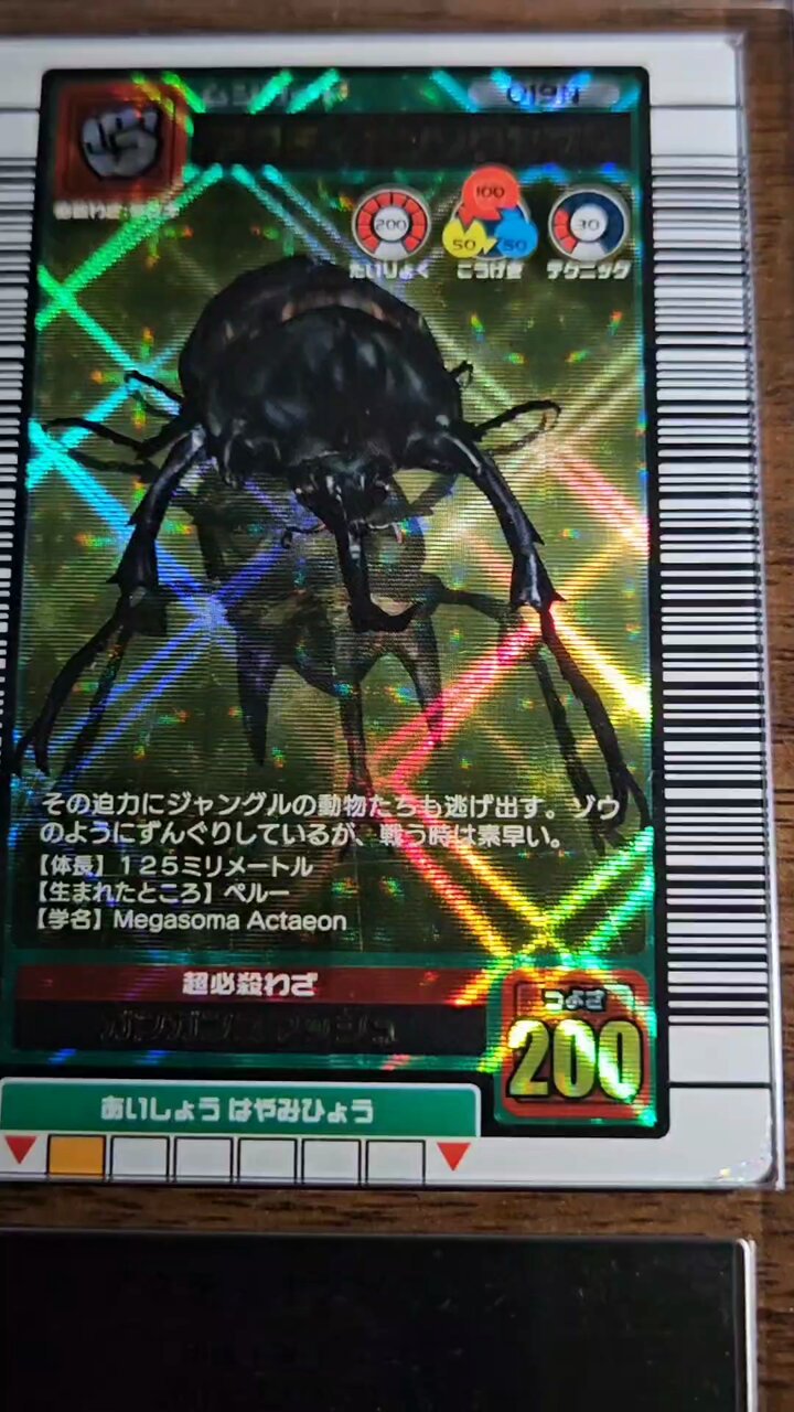 ムシキング アクティオンゾウカブト 2003SUMMER 夏 金レア 学名