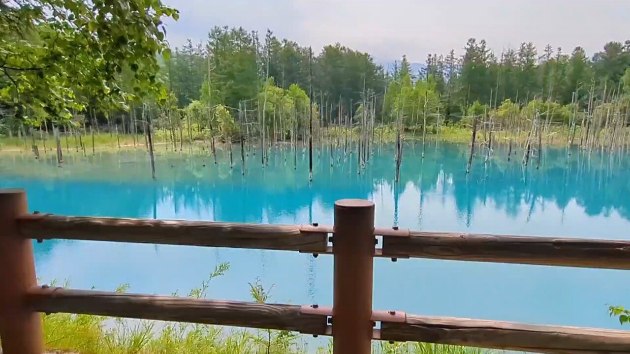 てっかまき on X: 