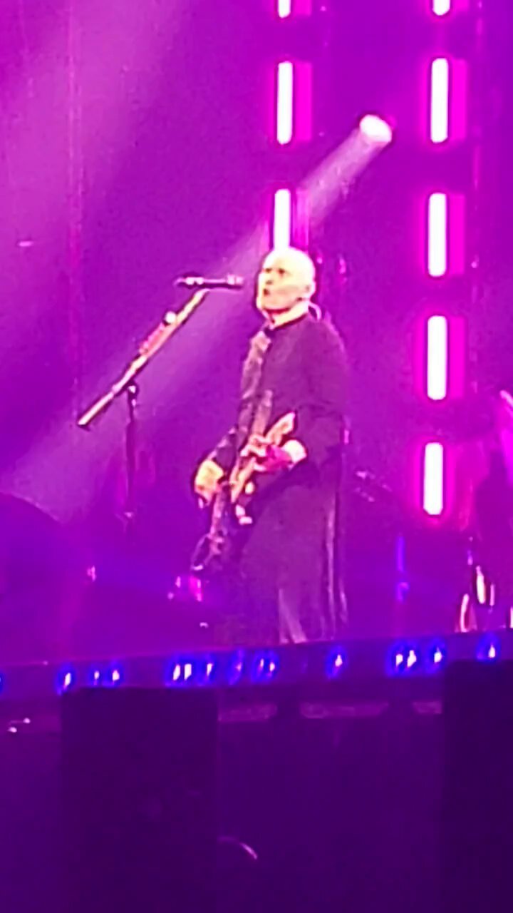 Smashing Pumpkins 武道館 ギター ピック スマパン 夜へ急ぐ人