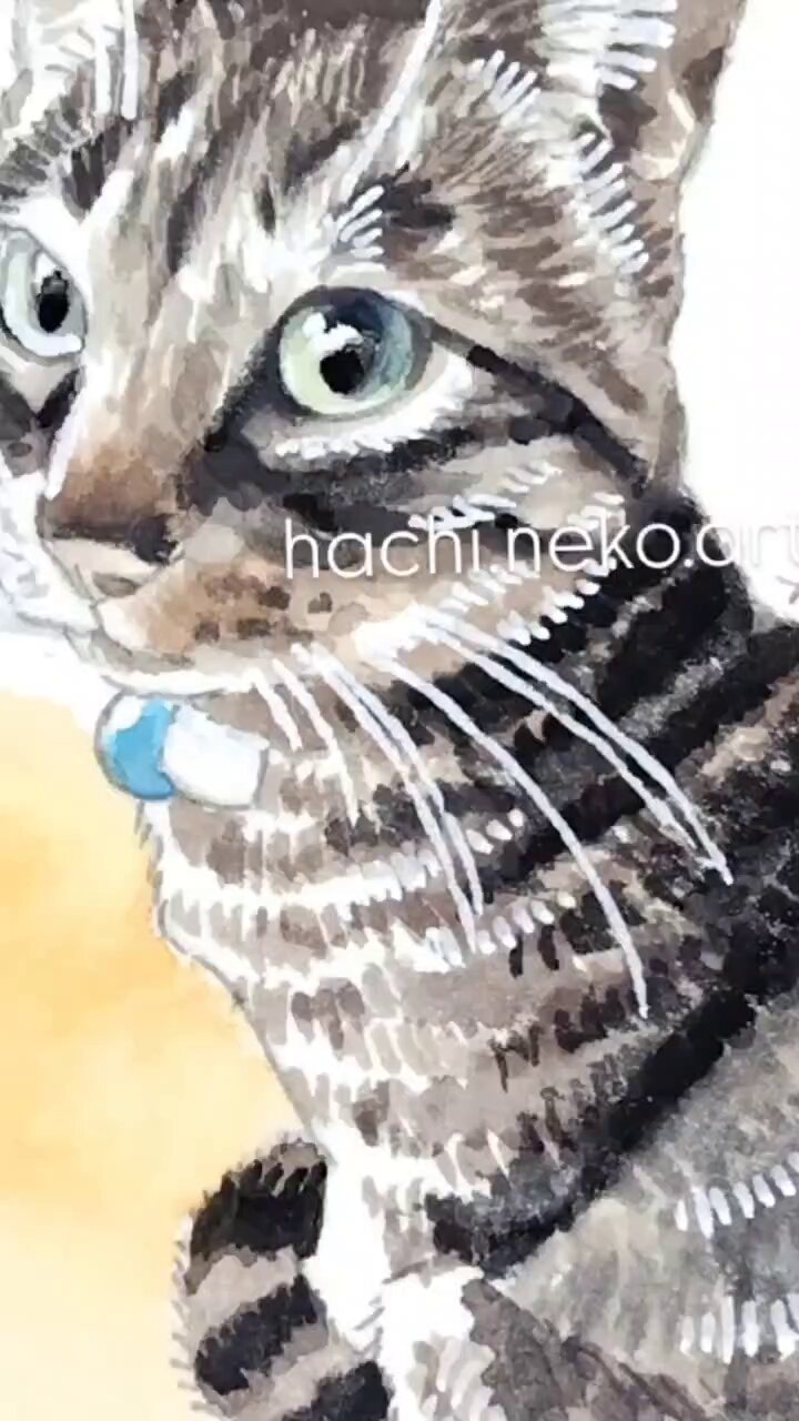 【みんな違って、みんないい。】　原画　アクリル画　猫　cat みんな違って、みんないい。】 原画 アクリル画 猫 cat