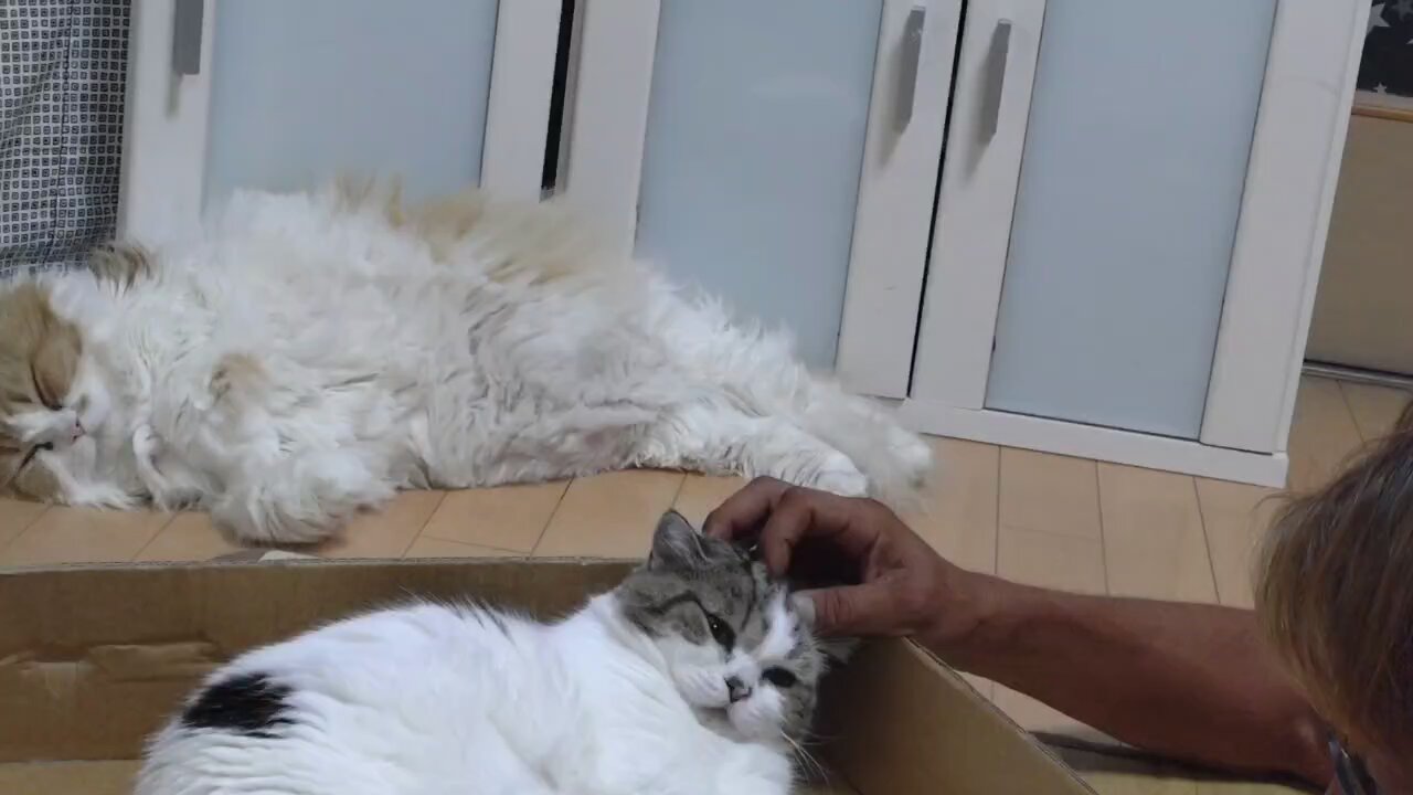 ののいな@LINEスタンプ販売中 (@suke6manchi) / X