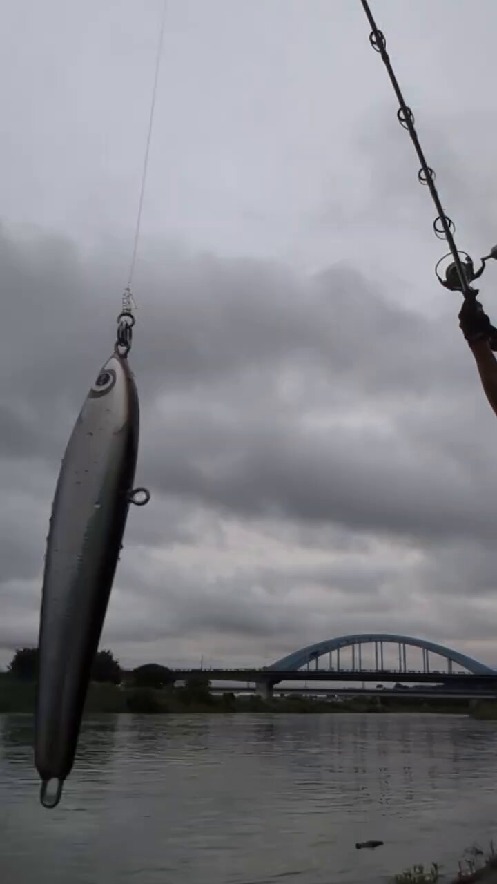 リンクス🎣 on X: 