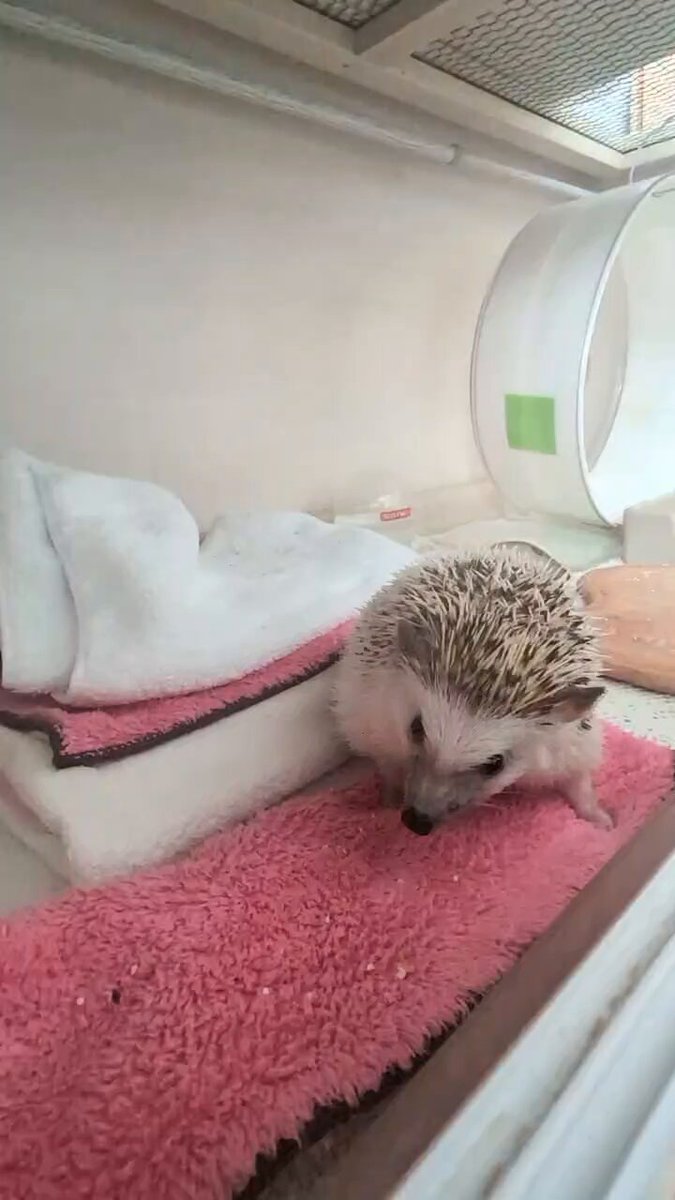 たそぴさま確認ページ♡ マサキサマ on X