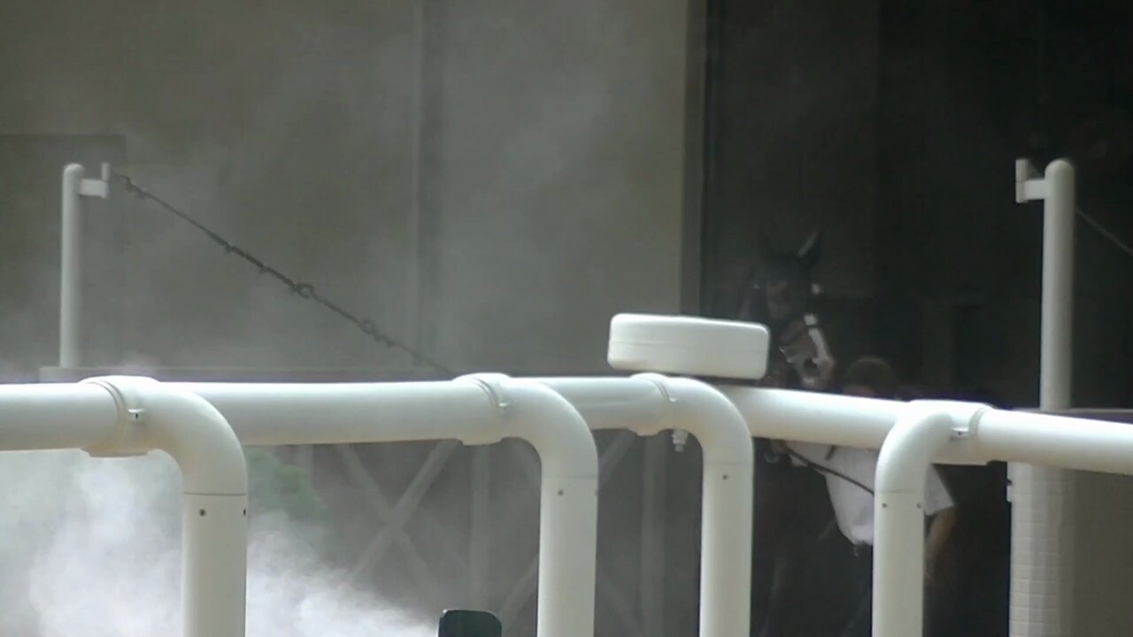 ムーンライトhc - Search / X