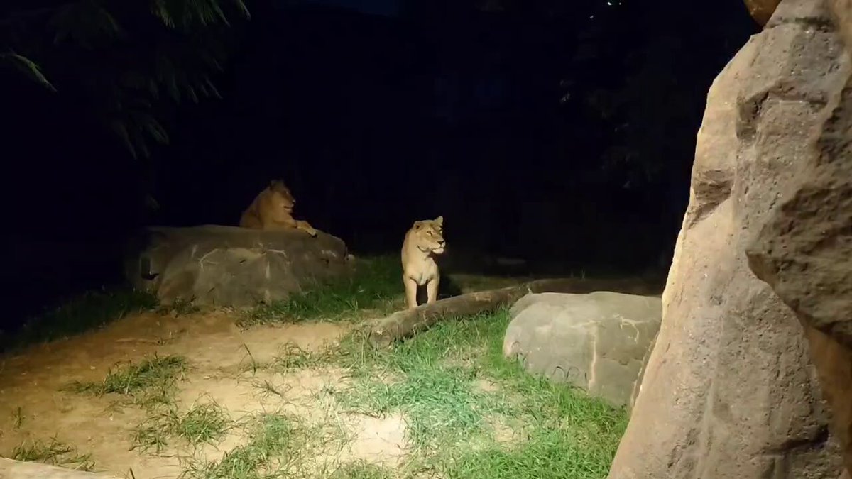 nana24 (@nana247724) / X