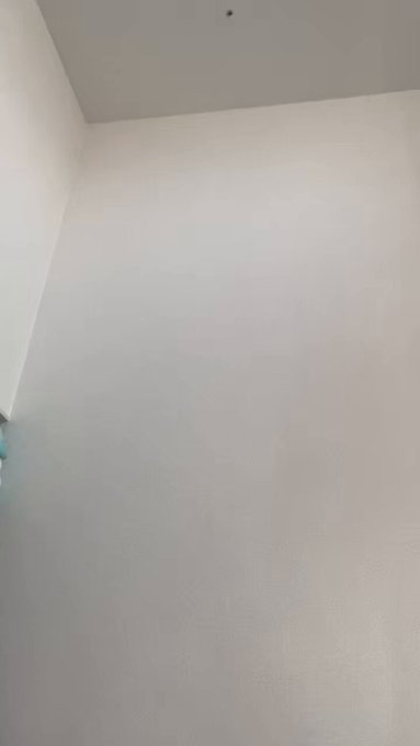 歌舞伎町コンカフェ　月よう日の躁うつのツイート