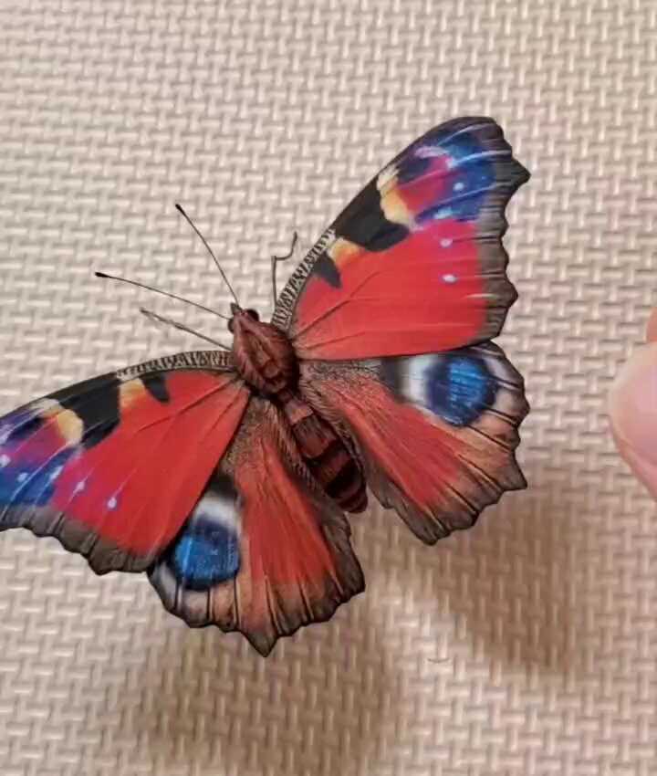 光る蝶 913WORKS on X: 