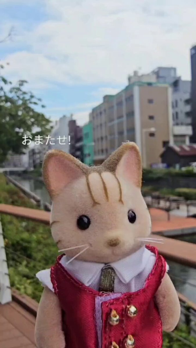 シルバニア　オーダー　にゃんきゅっぱ シルバニア オーダー にゃんきゅっぱ シルバニア オーダー