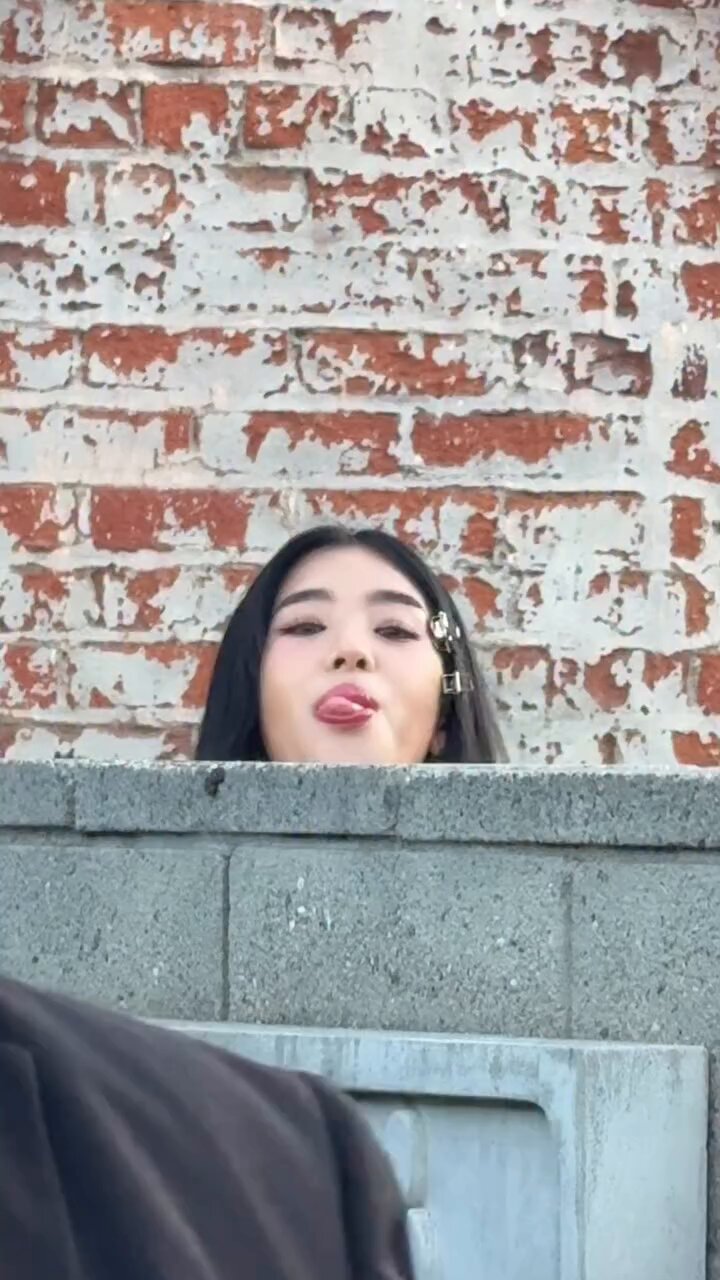 sophiaページ SOPHIA - Search / X