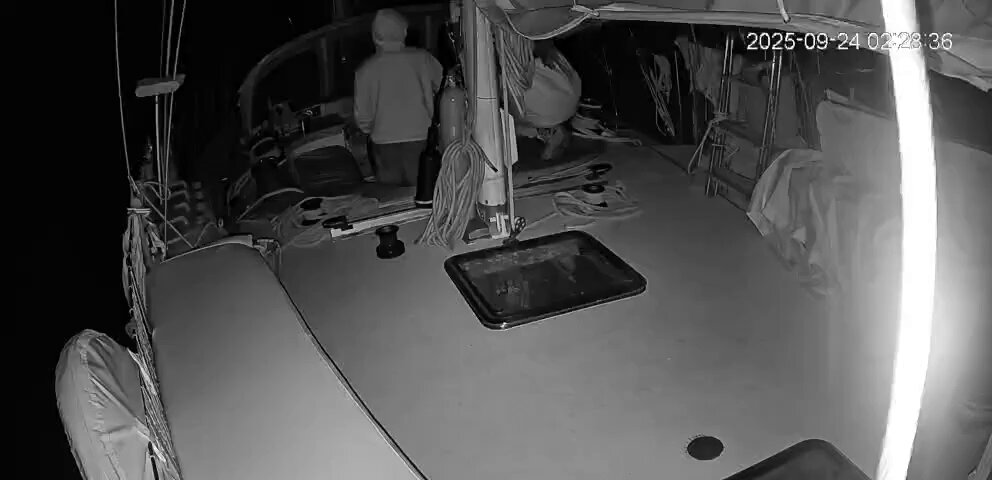 Global Sumud Flotilla Commentary on Twitter / X