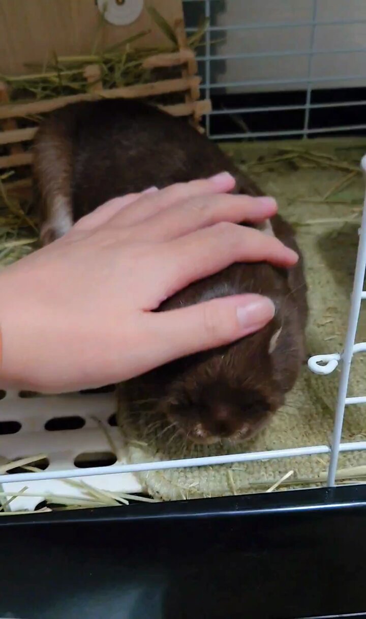 もみさん♡ご確認お願いしますm(_ _)m のりしお on X: 