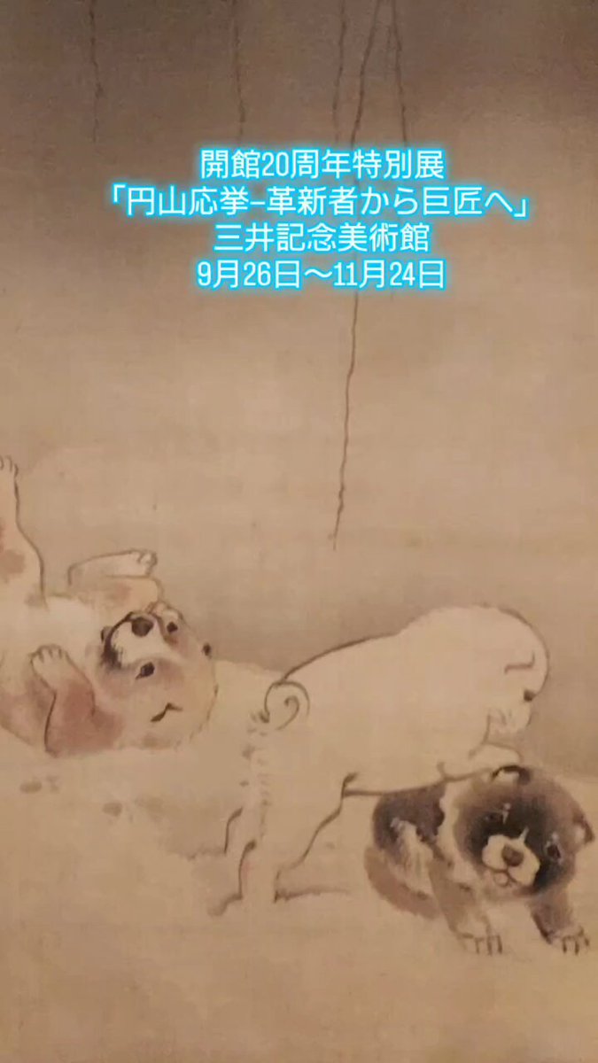 ゆっちゃんページ ゆっちゃん🐶🎉ゆっチャンネル🔥Breaking down7出場