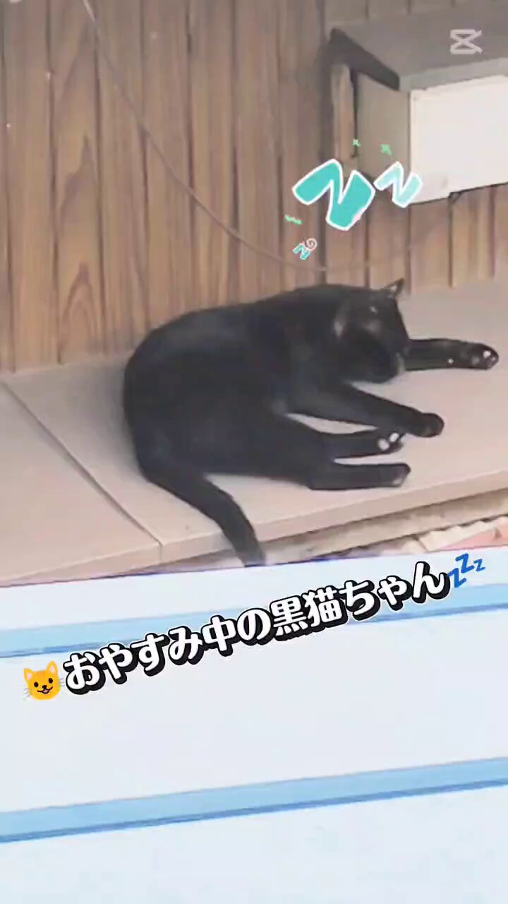 ミシル純情🎀 on X: 