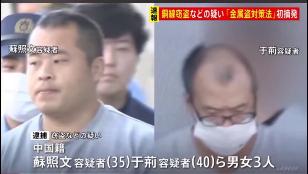 TRN-Negoshiお取引ですのでご注意ください。 金襴切替スニーカー 絡繰魂 251901 和柄 和風 靴 金襴 桜 サクラ
