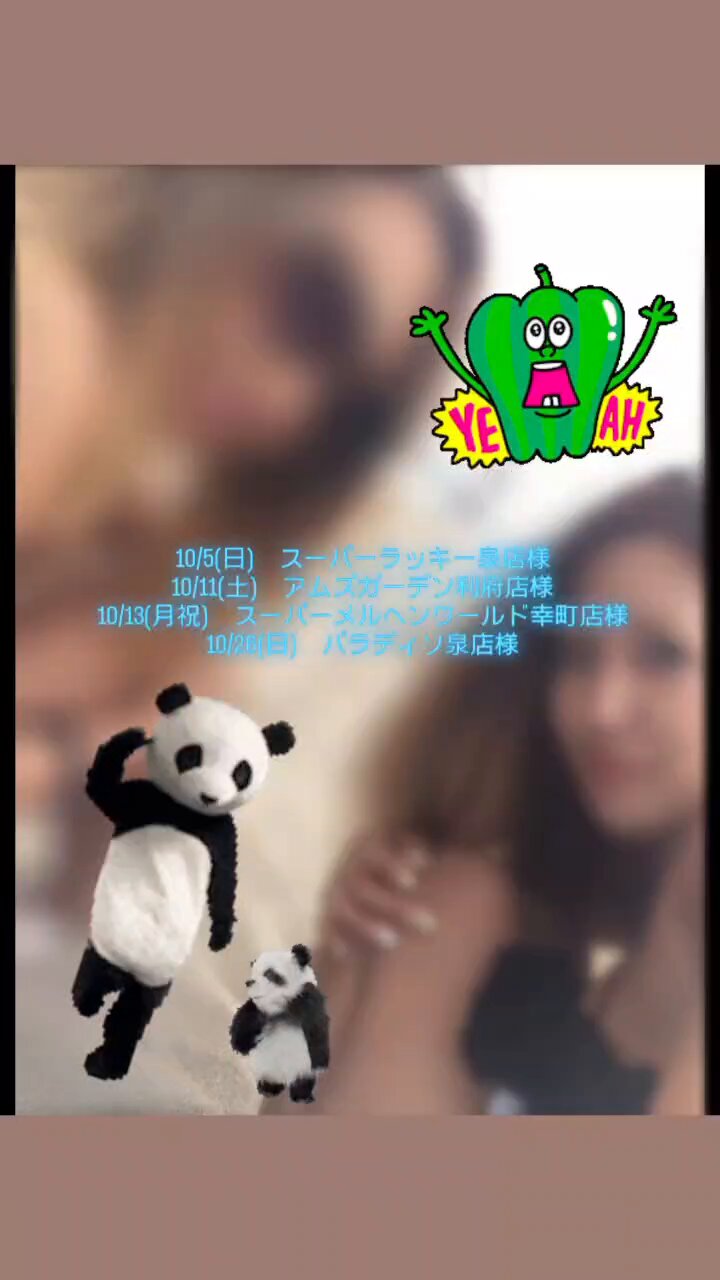 とらちゃんさん専用 とらちゃん。必勝本東北 (@tora_tohoku777) / X